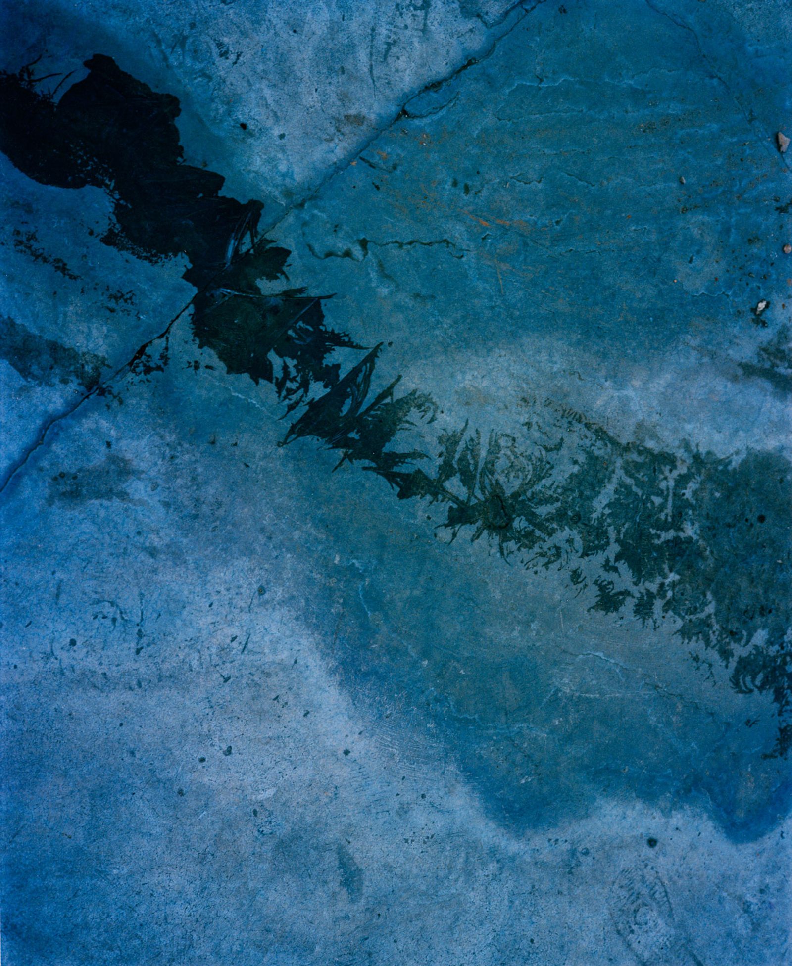 © Shuwei Liu - Image from the Visible Darkness photography project