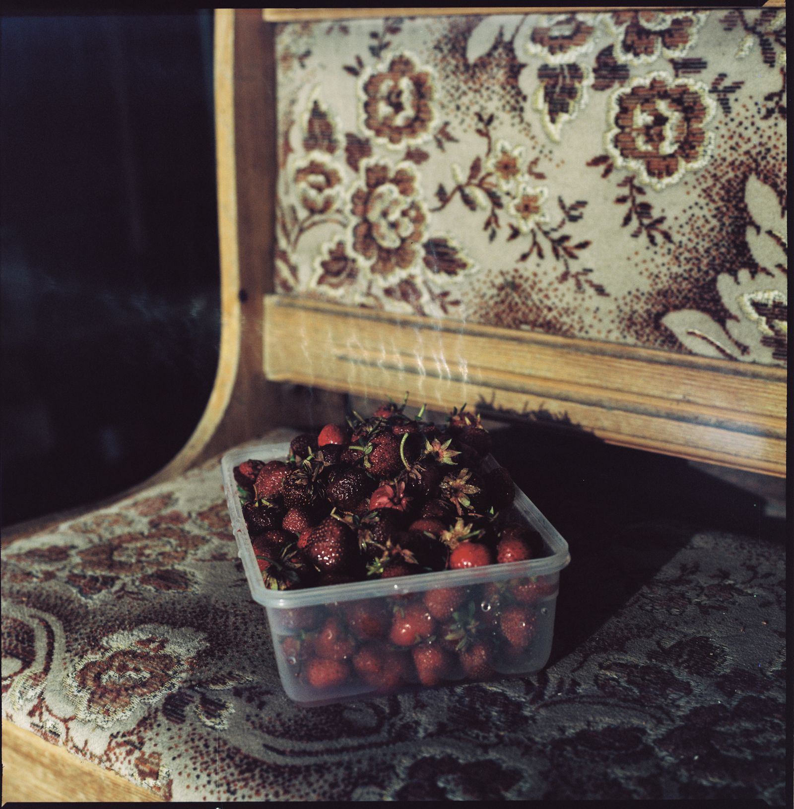 © Zula Rabikowska - Hand picked strawberries, Gdansk, Poland