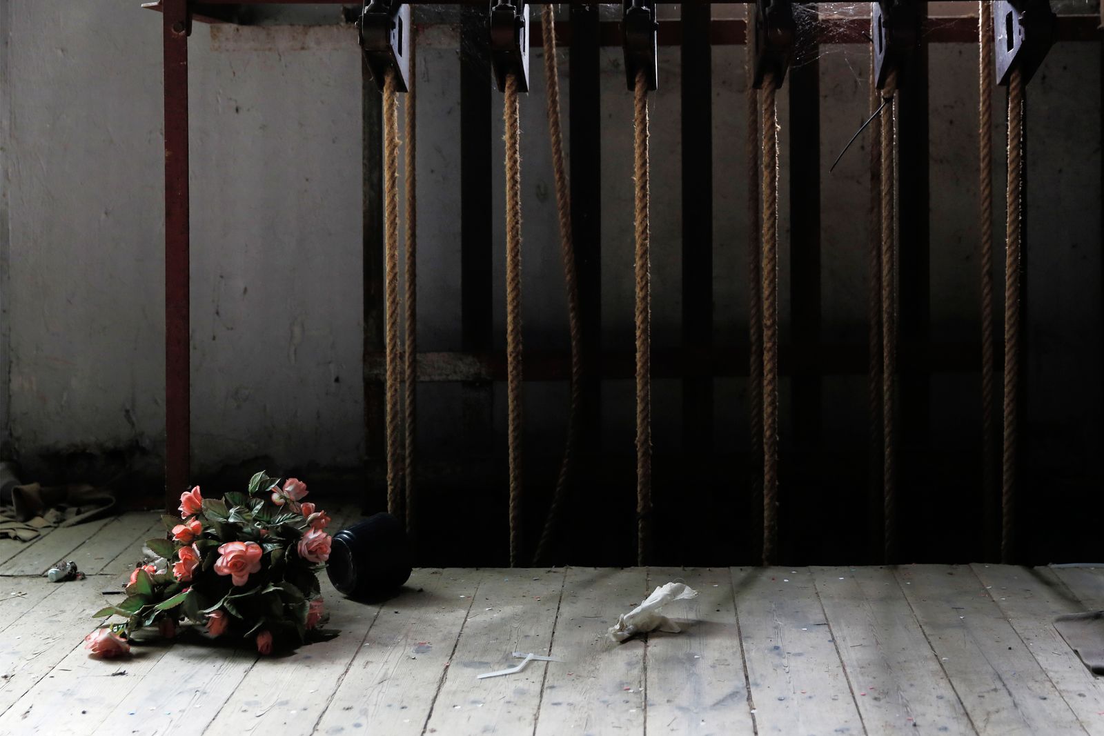 © Francesca Pompei - Francesca Pompei-The old theater-Pink flowers