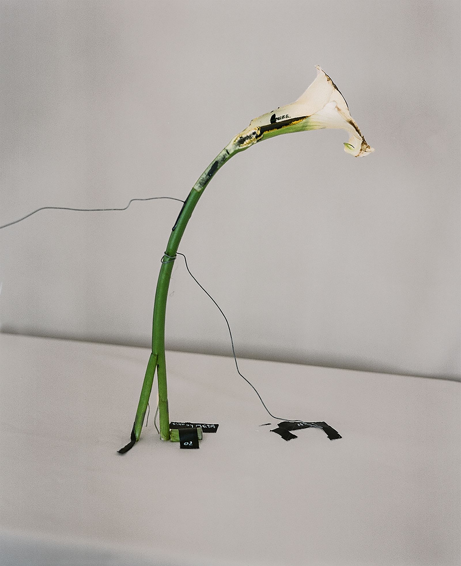 © Jakub Stanek - Image from the In Anticipation of the Sun photography project
