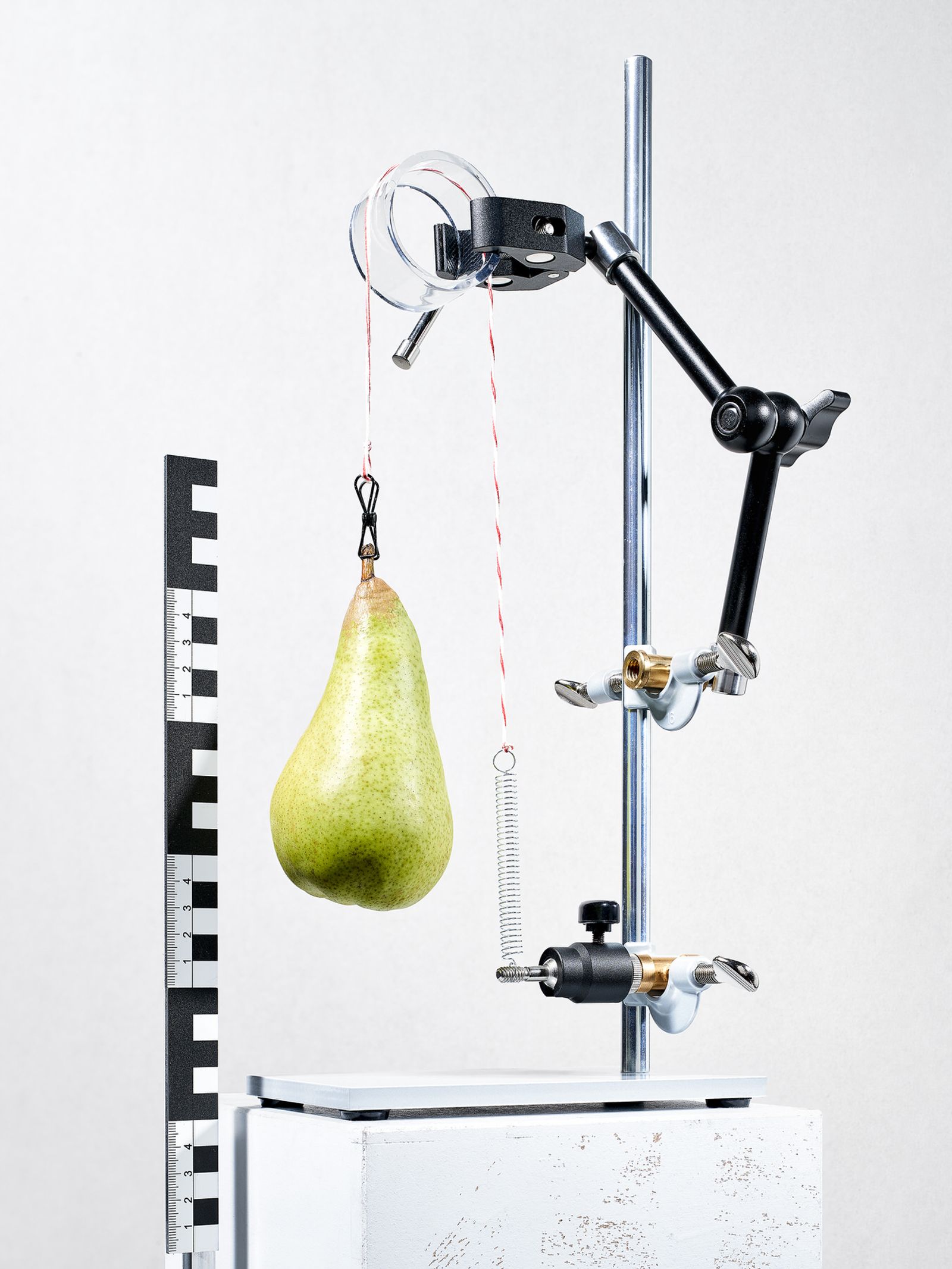 © Felix Schöppner - Newton_and_the_Pear