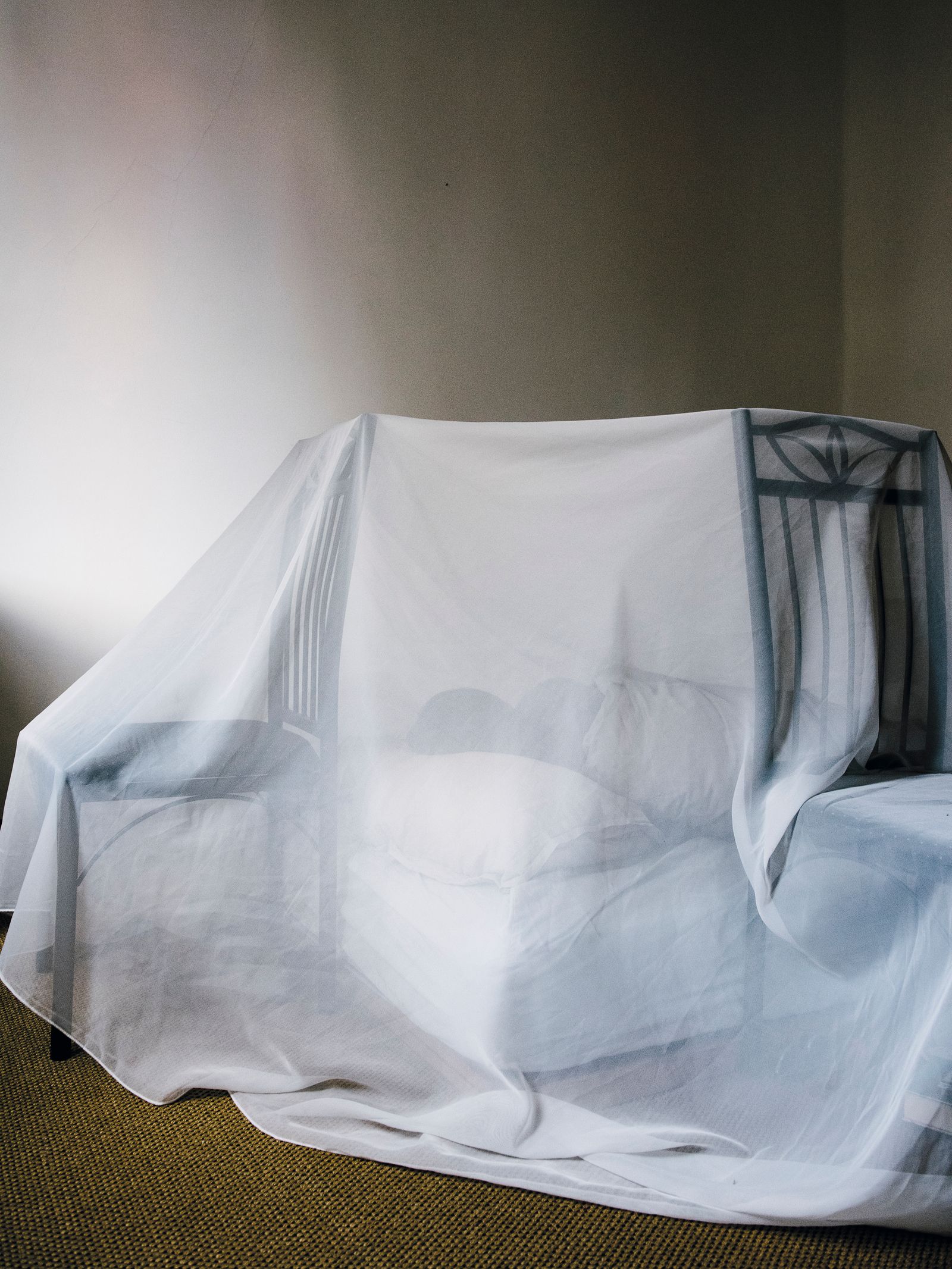 Humans Seem to Be an Exception PhMuseum