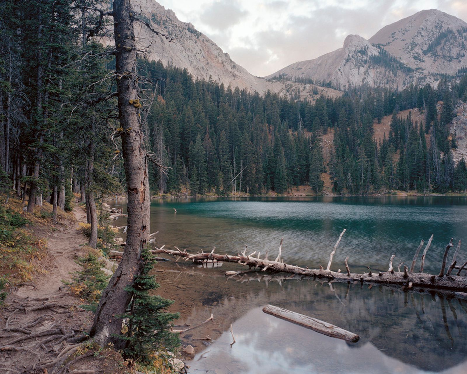 © Bryan Schutmaat - Gallatin National Forest, Montana, 2011