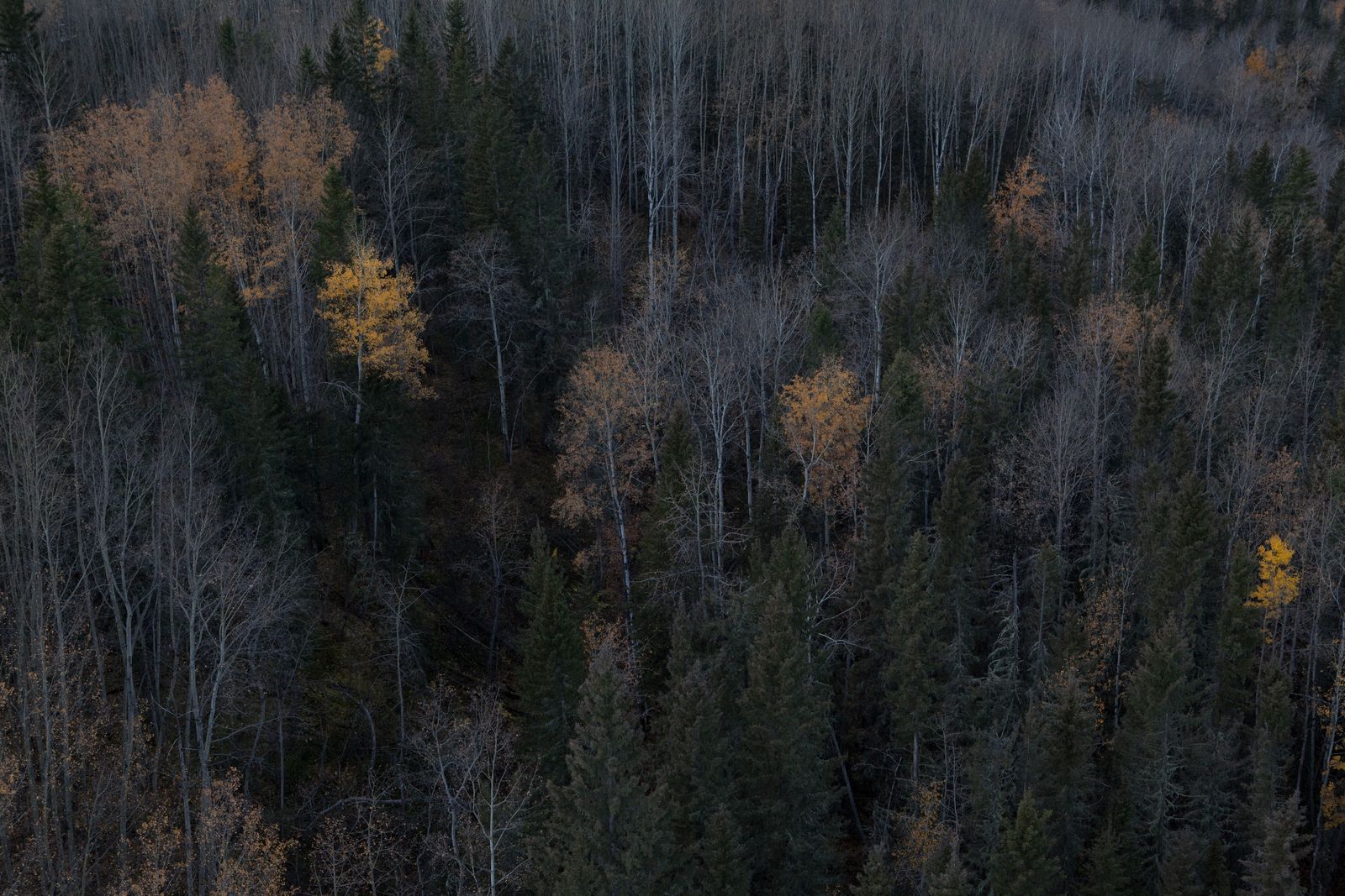 © Alan Gignoux - Image from the OIL SANDS / Tar Sands photography project