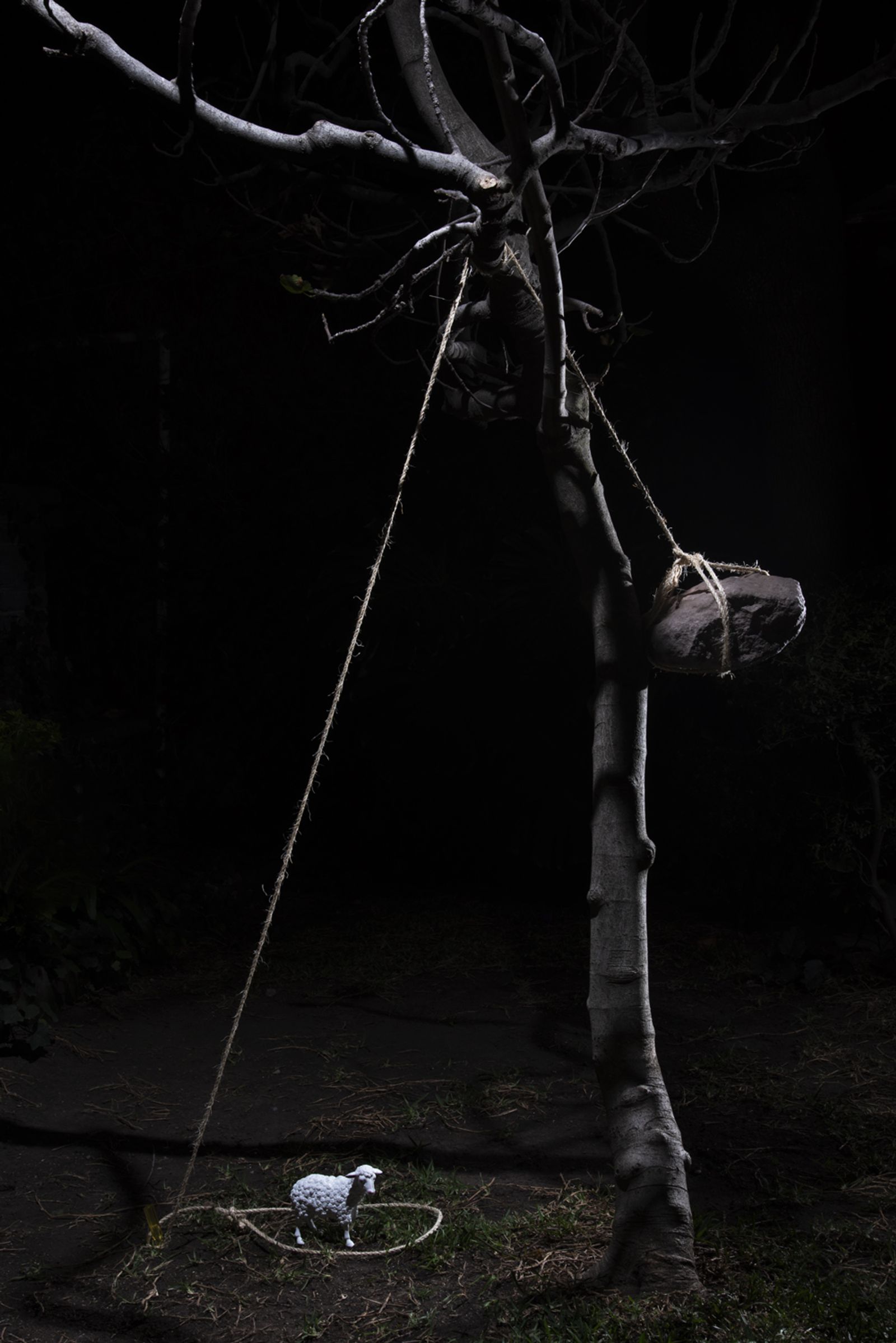 © Eleana Konstantellos André - The trap was placed in order to catch the beast. The Chupacabra was never caught on camera.