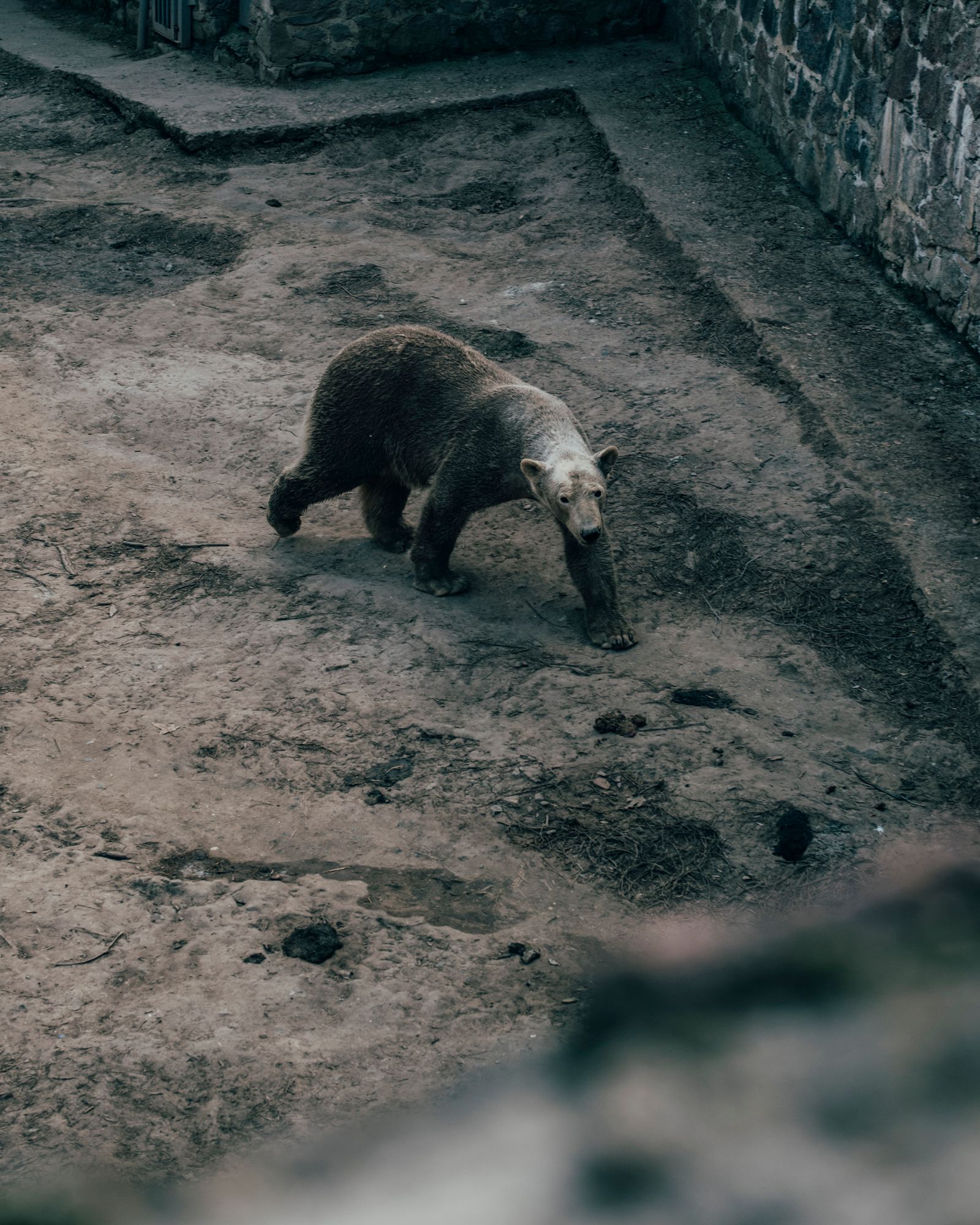 © Robin Hinsch - Image from the Lonely are all the Bridges photography project