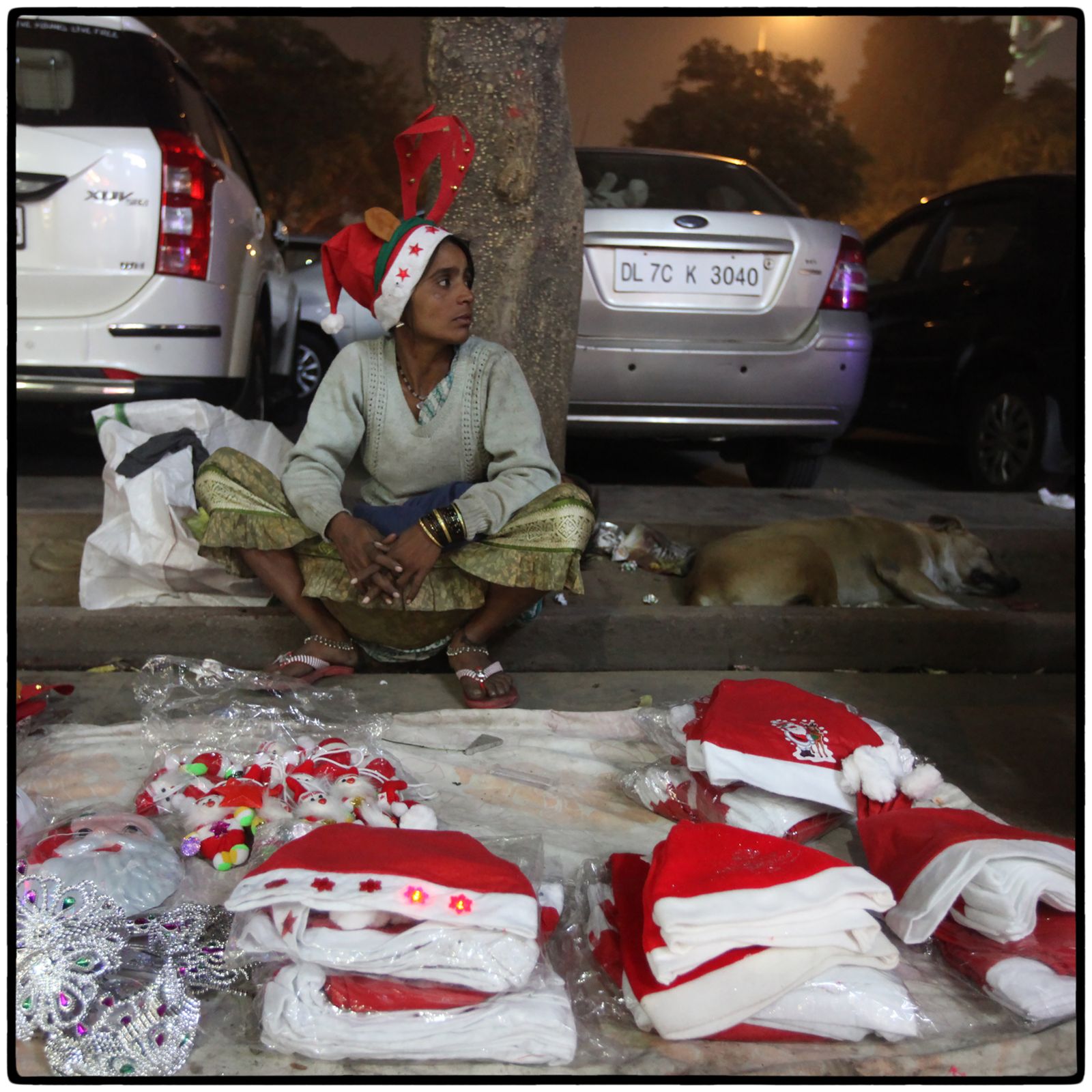© Vijay S. Jodha - Lady with merchandise and stray dog, awaits customers.
