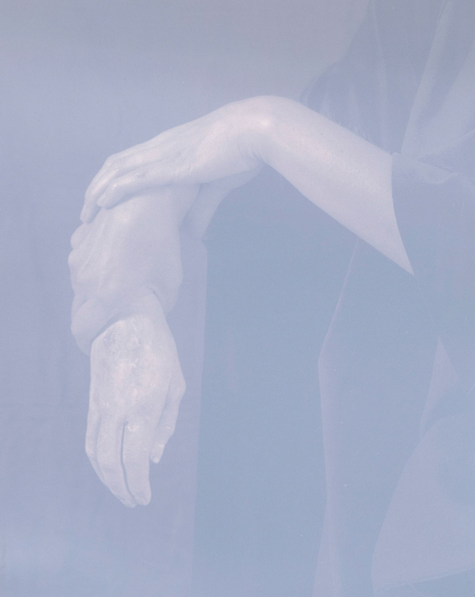 © Christine Elfman - Reproduction I, variation II, faded lichen dye on paper (anthotype), unfixed, lifesize