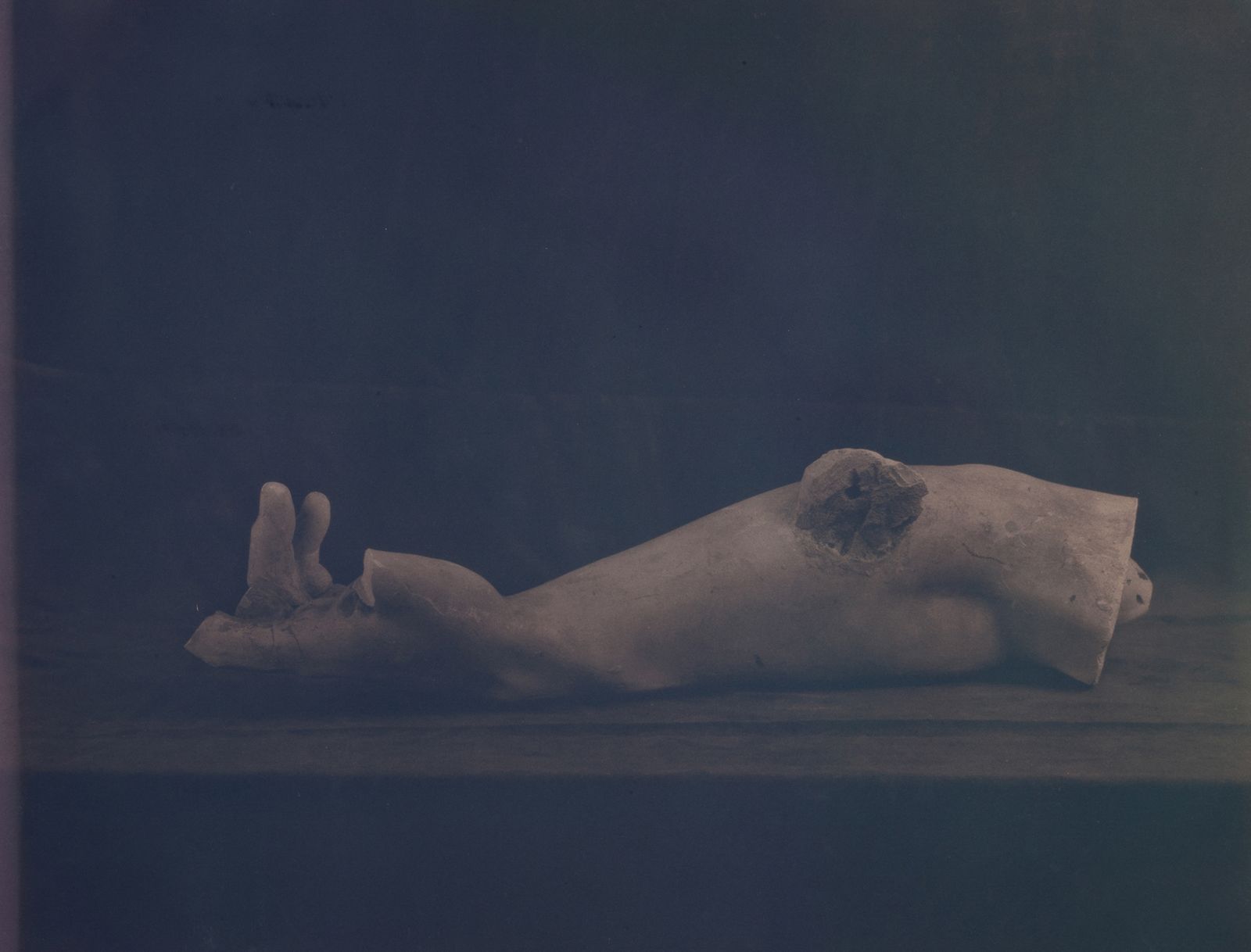 © Christine Elfman - Fragment II, faded dye on paper (anthotype), unfixed, 24x30 inches