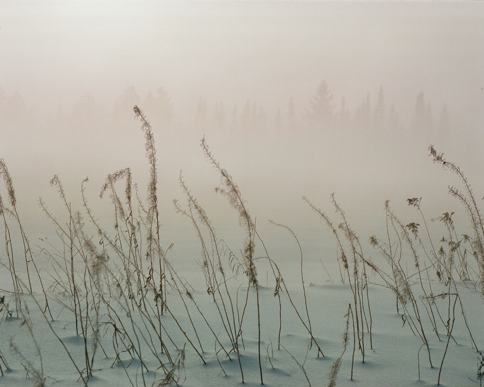 © Ekaterina Vasilyeva - Image from the Canyon diary photography project