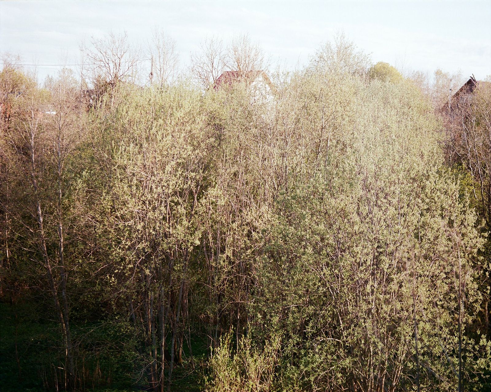 © Ekaterina Vasilyeva - Image from the Canyon diary photography project