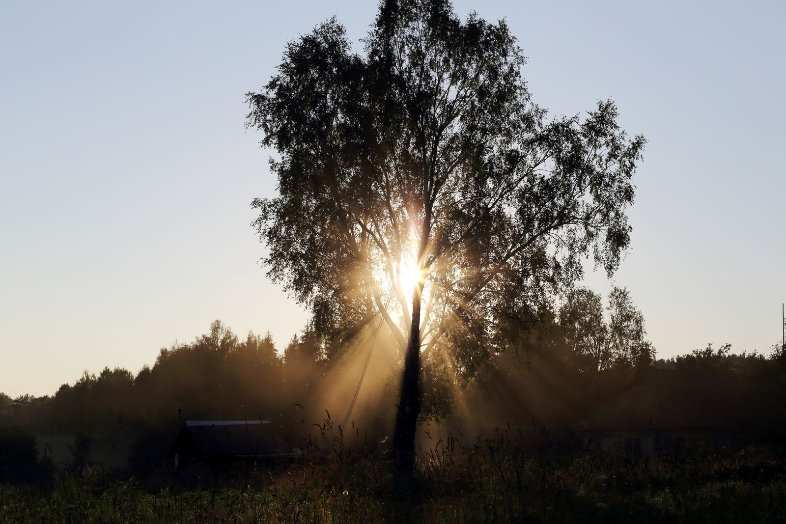 © Ekaterina Vasilyeva - Image from the After the firebird photography project