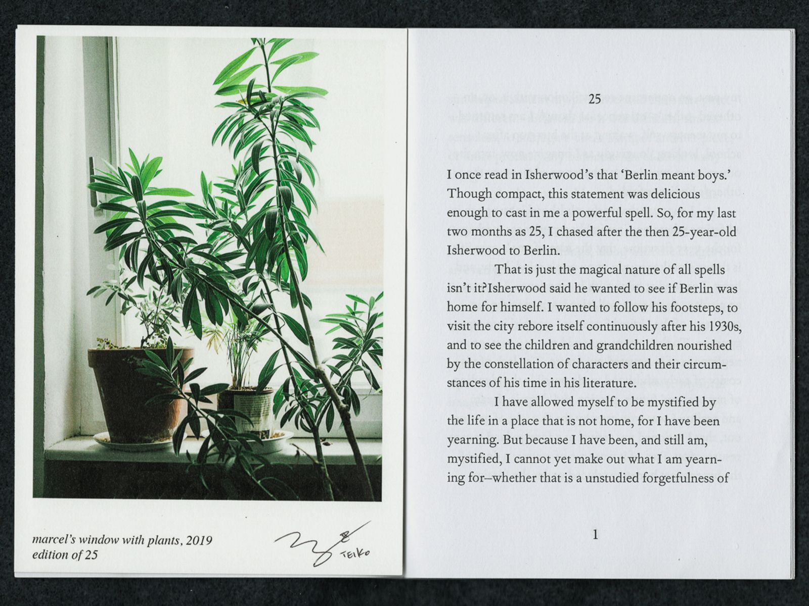 © Ang Zheng - spread from Windowsill Series zine, with postcard, 2019