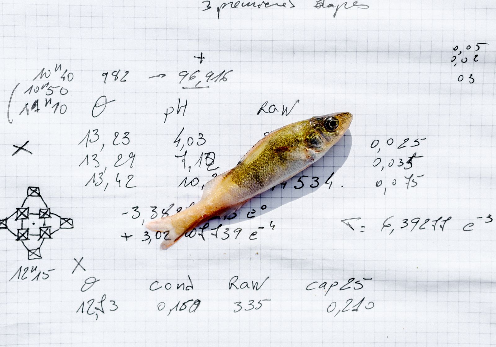 © Daniel Martínez - Image from the FUI-42 photography project