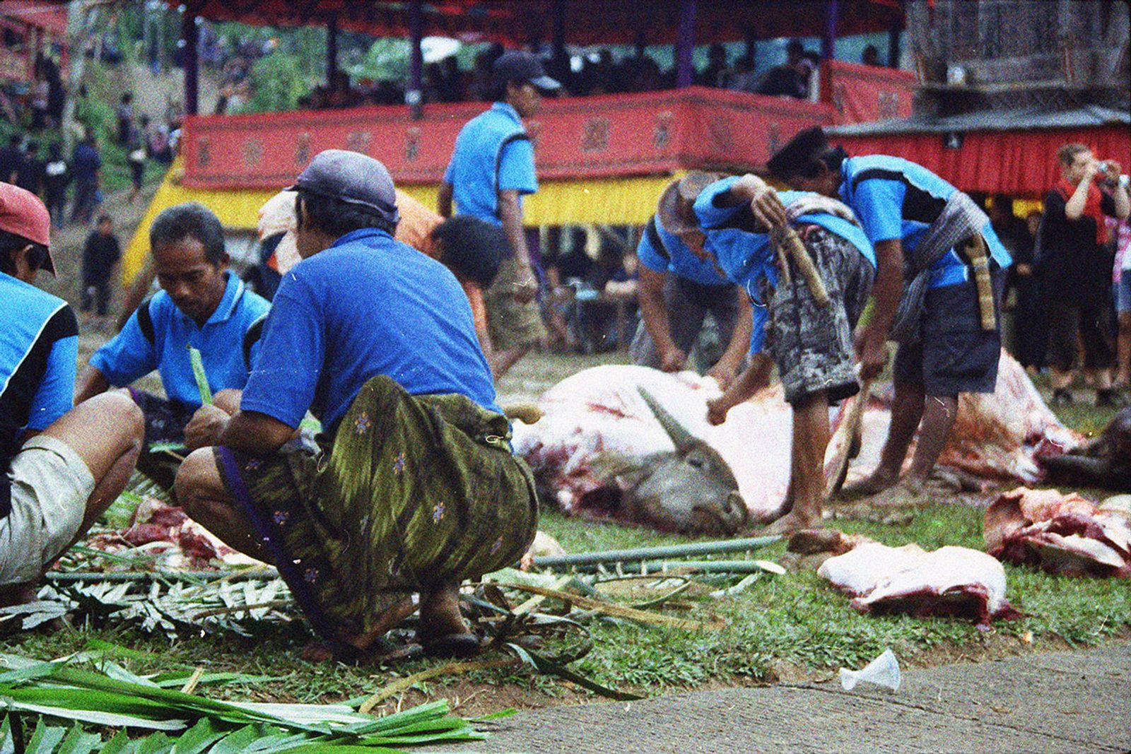 © Florent Roussel - Image from the TANA TORAJA photography project