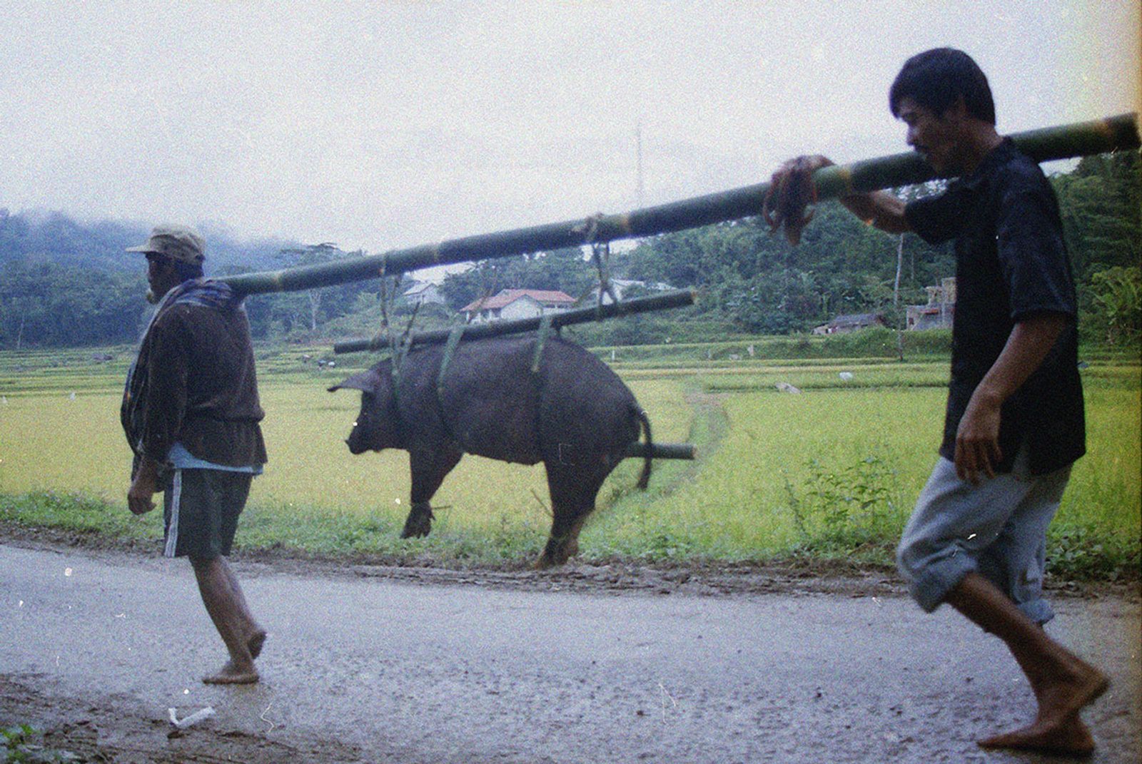 © Florent Roussel - Image from the TANA TORAJA photography project