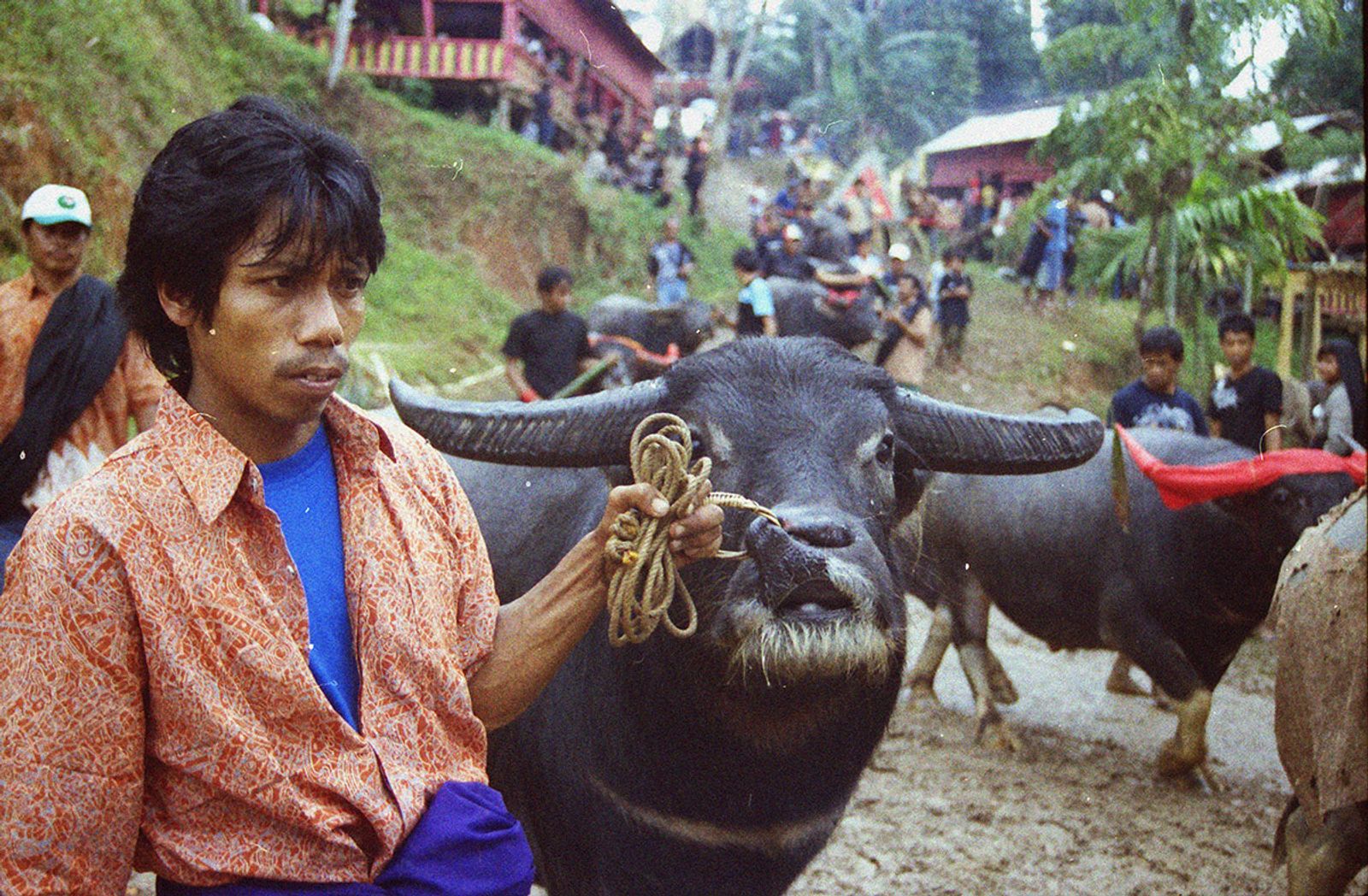 © Florent Roussel - Image from the TANA TORAJA photography project