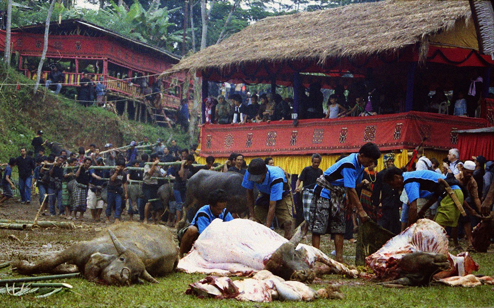 © Florent Roussel - Image from the TANA TORAJA photography project