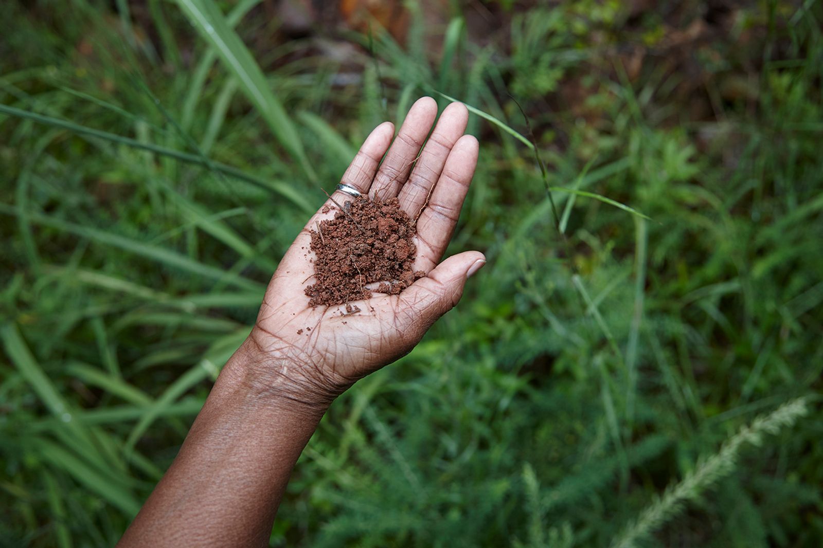 © Richard Ansett - Frances holds the soil in her hand
