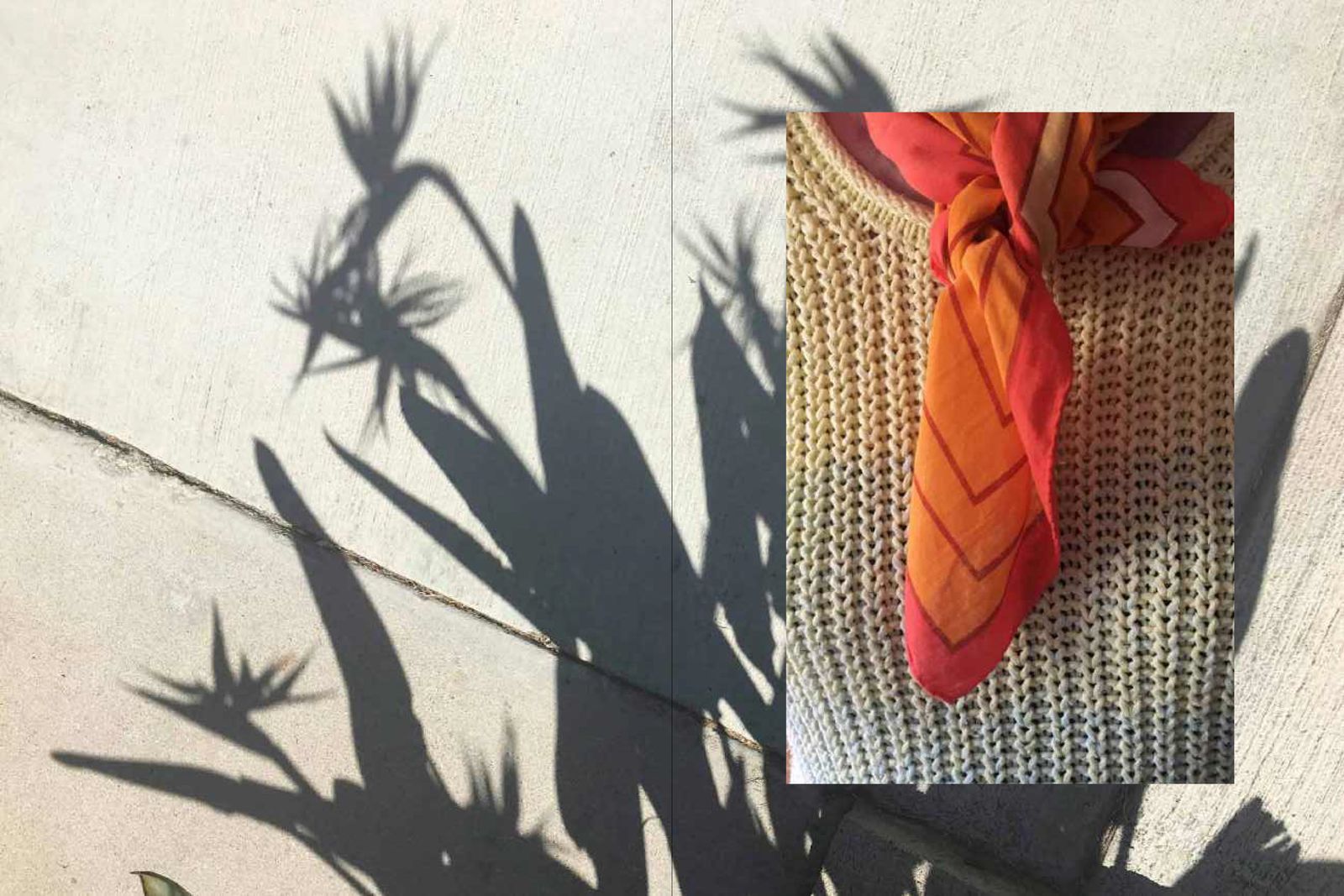 Image from a project on PhMuseum