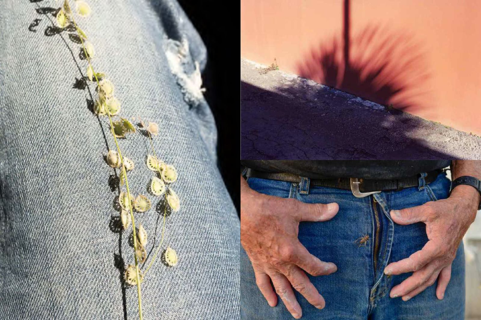 Image from a project on PhMuseum