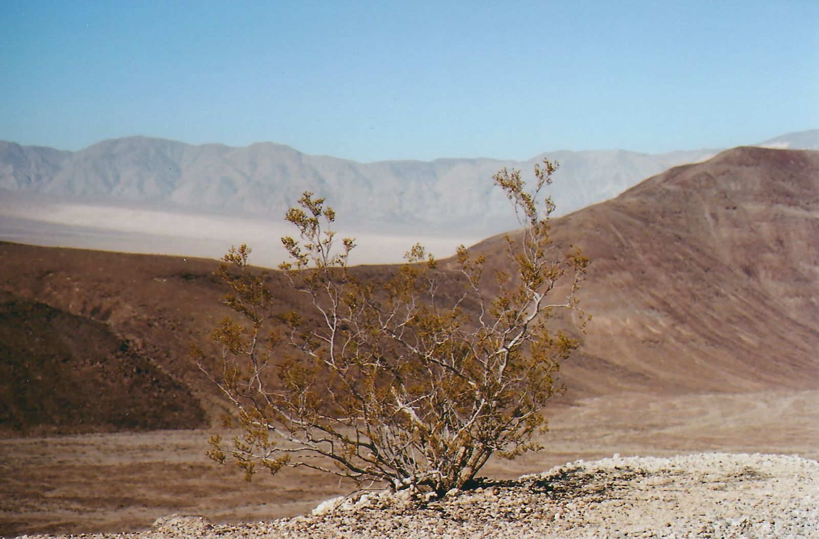 © Carlotta Guerra - Image from the The Gift photography project