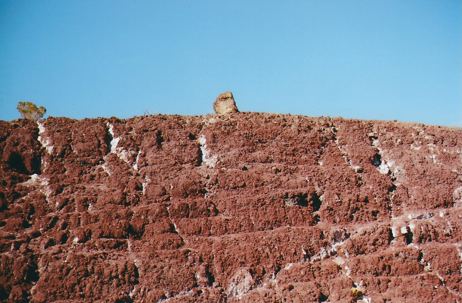 © Carlotta Guerra - Image from the The Gift photography project