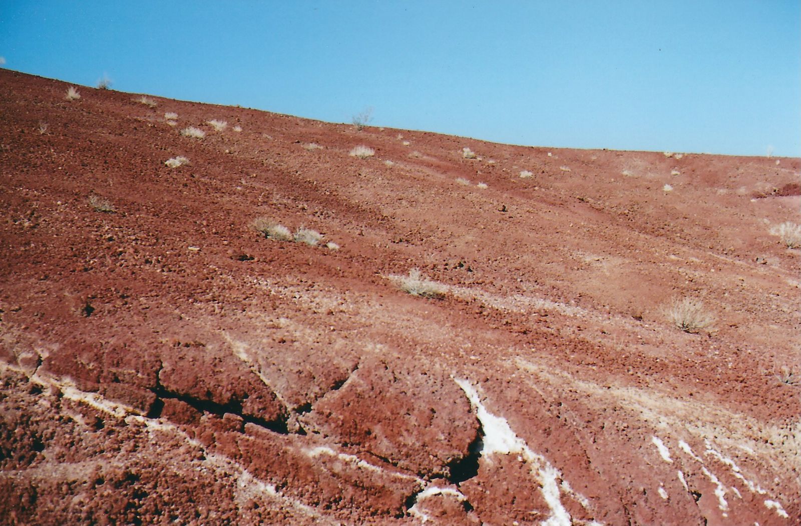 © Carlotta Guerra - Image from the The Gift photography project