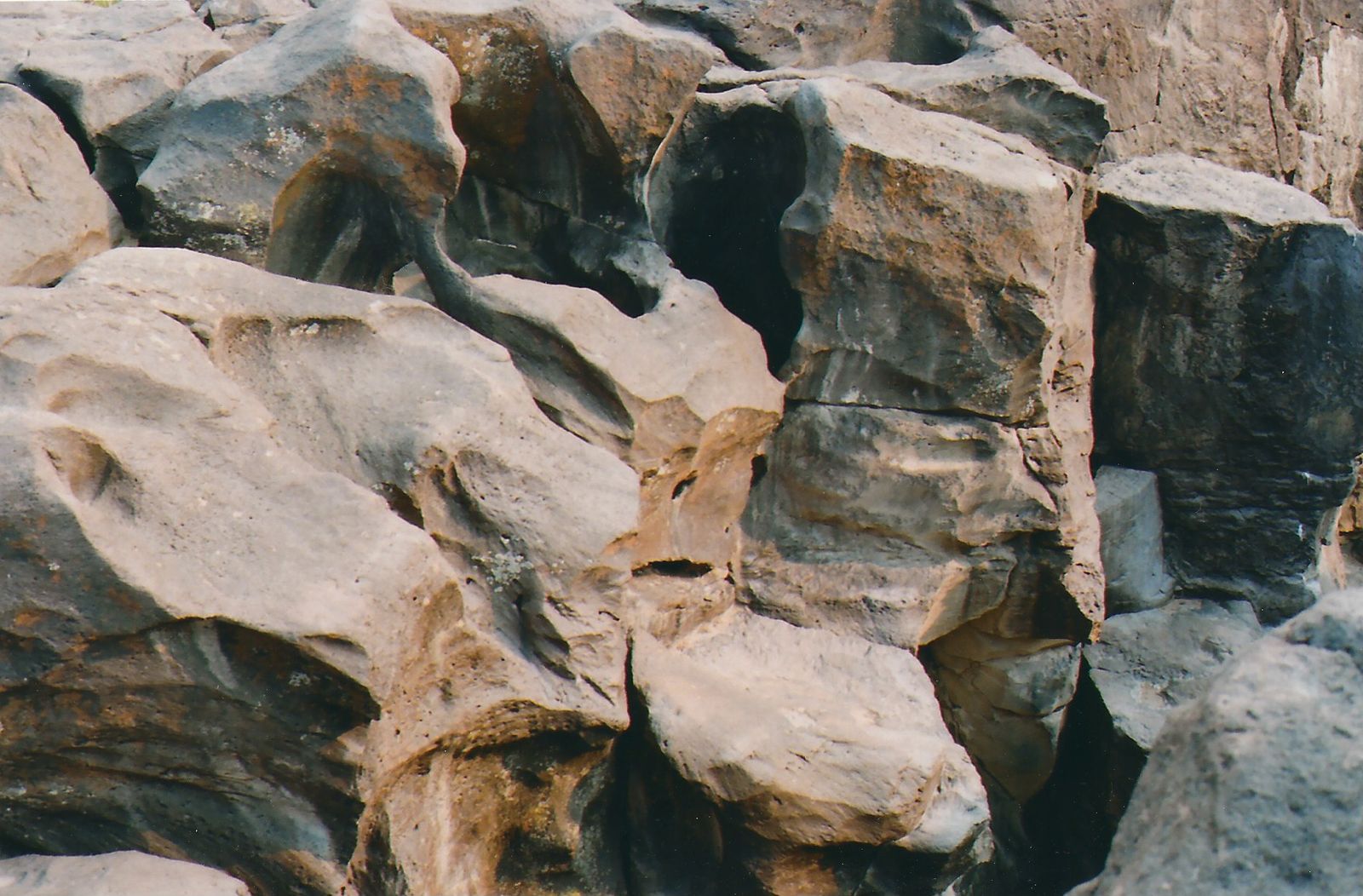 © Carlotta Guerra - Image from the The Gift photography project