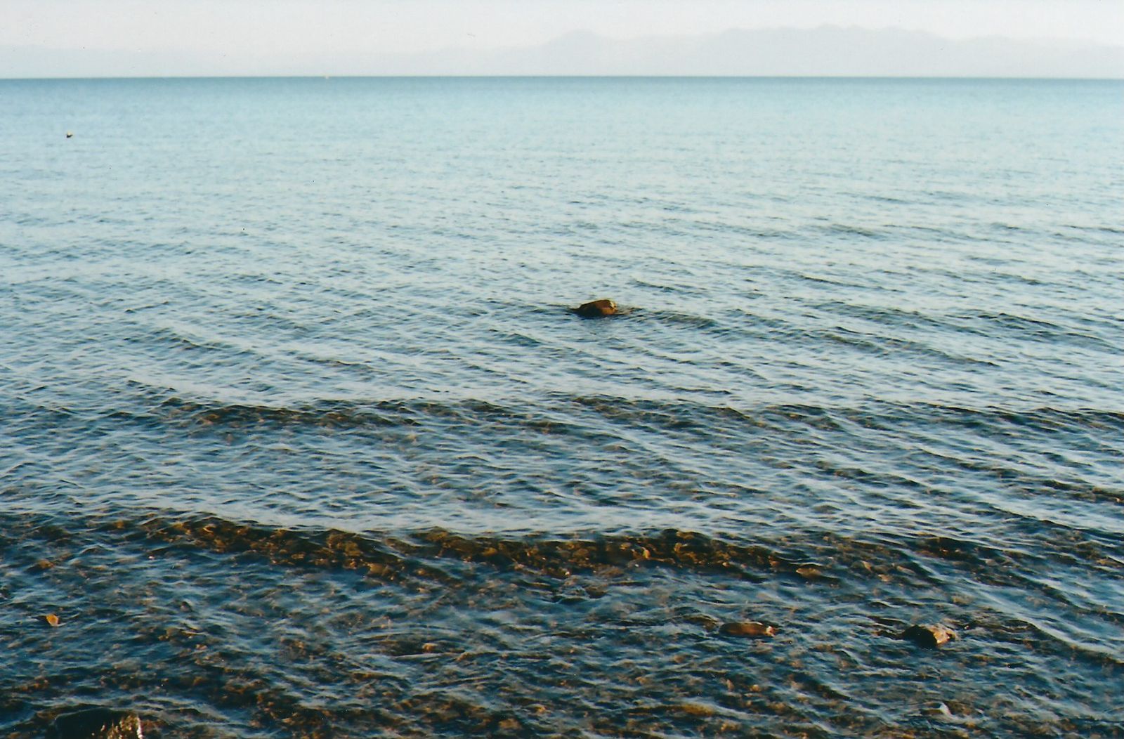 © Carlotta Guerra - Image from the The Gift photography project