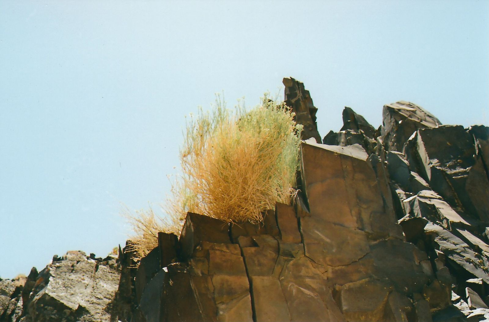 © Carlotta Guerra - Image from the The Gift photography project