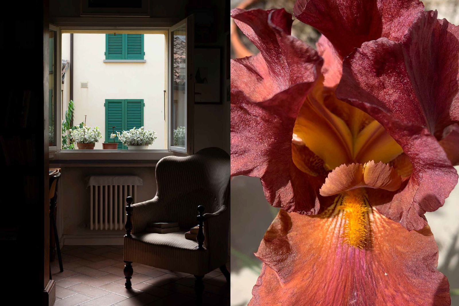 © Carlotta Guerra - Image from the Like we could almost live forever photography project