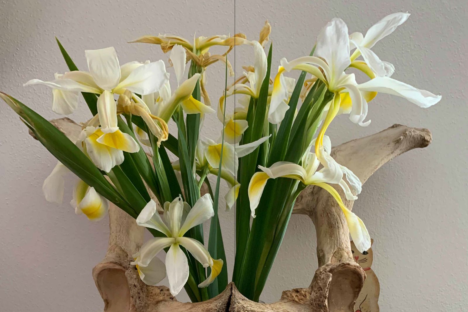 © Carlotta Guerra - Image from the Like we could almost live forever photography project