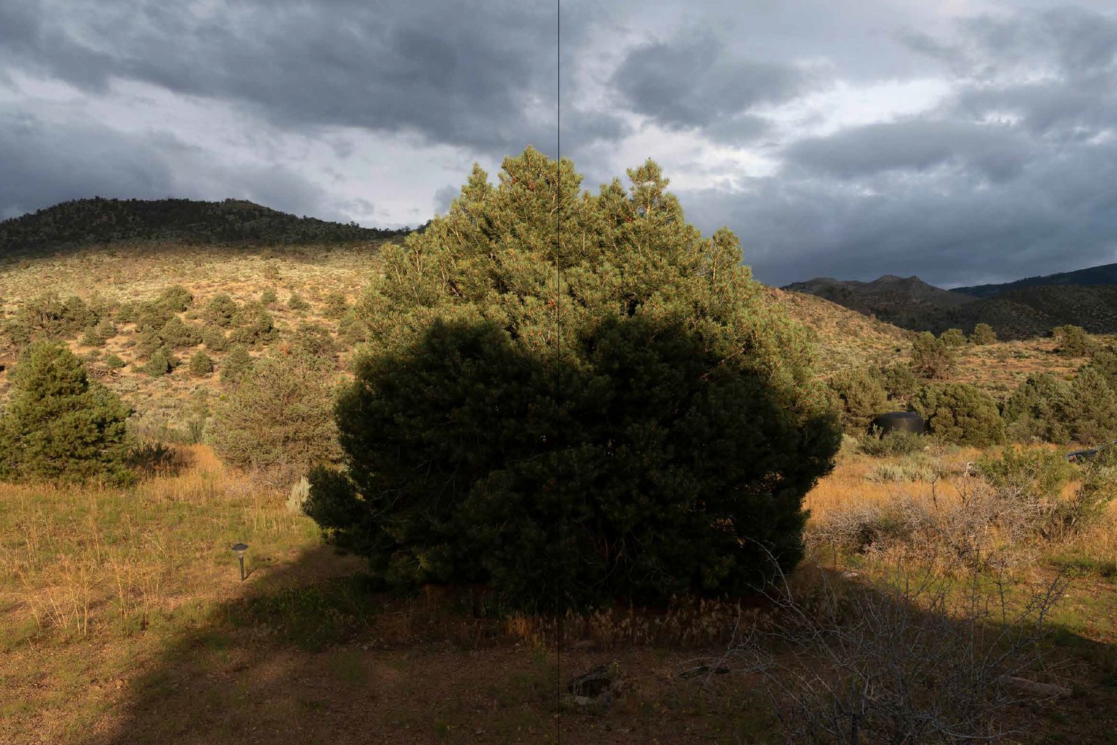 © Carlotta Guerra - Image from the Like we could almost live forever photography project