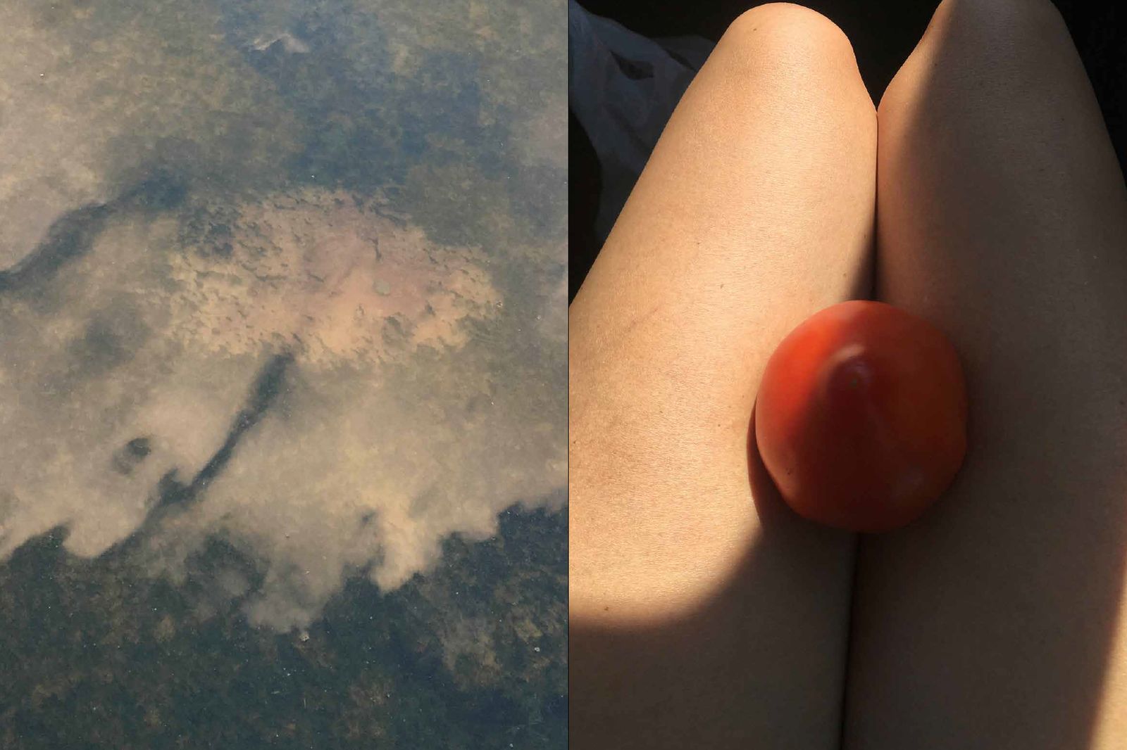 © Carlotta Guerra - Image from the Like we could almost live forever photography project