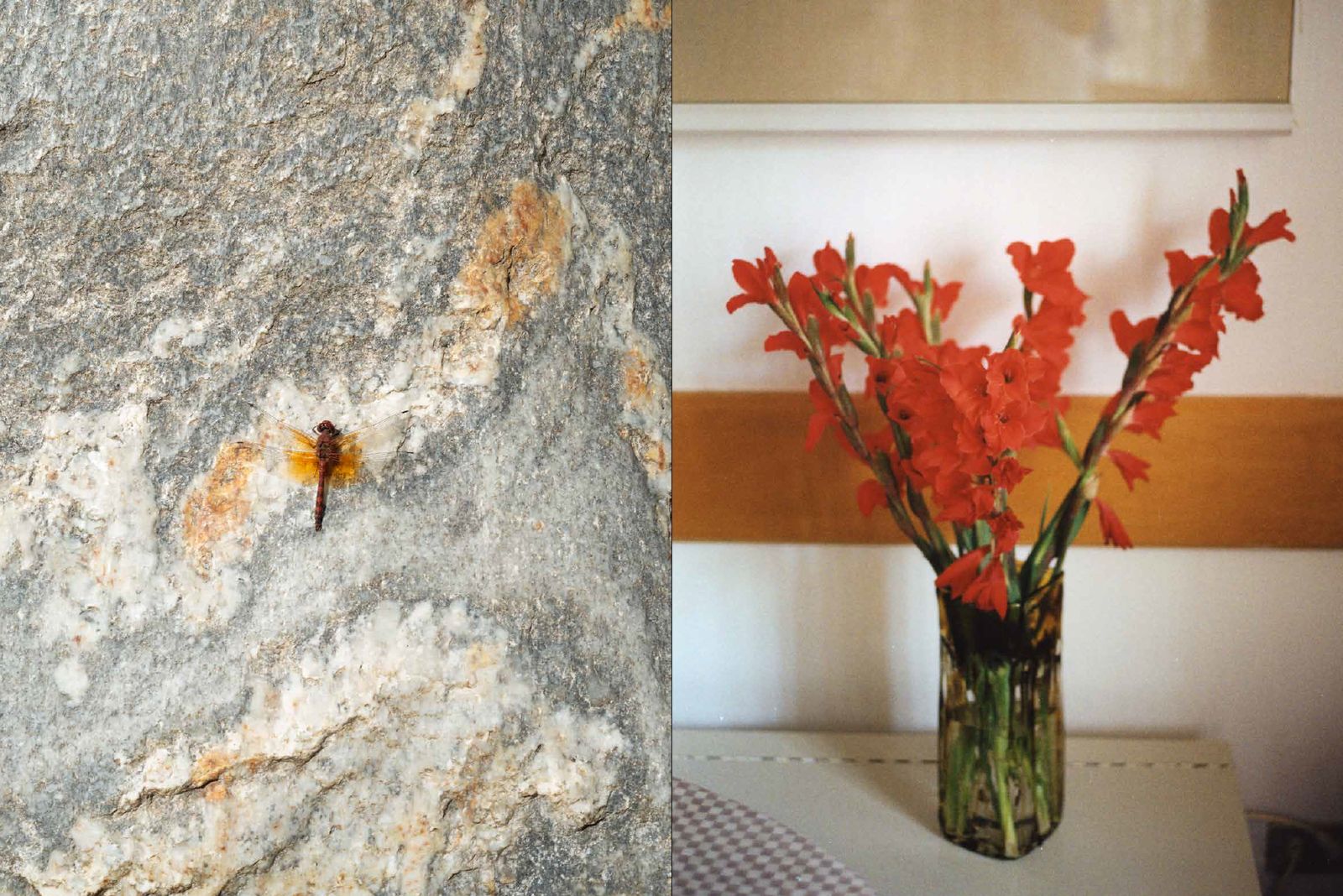 © Carlotta Guerra - Image from the Like we could almost live forever photography project