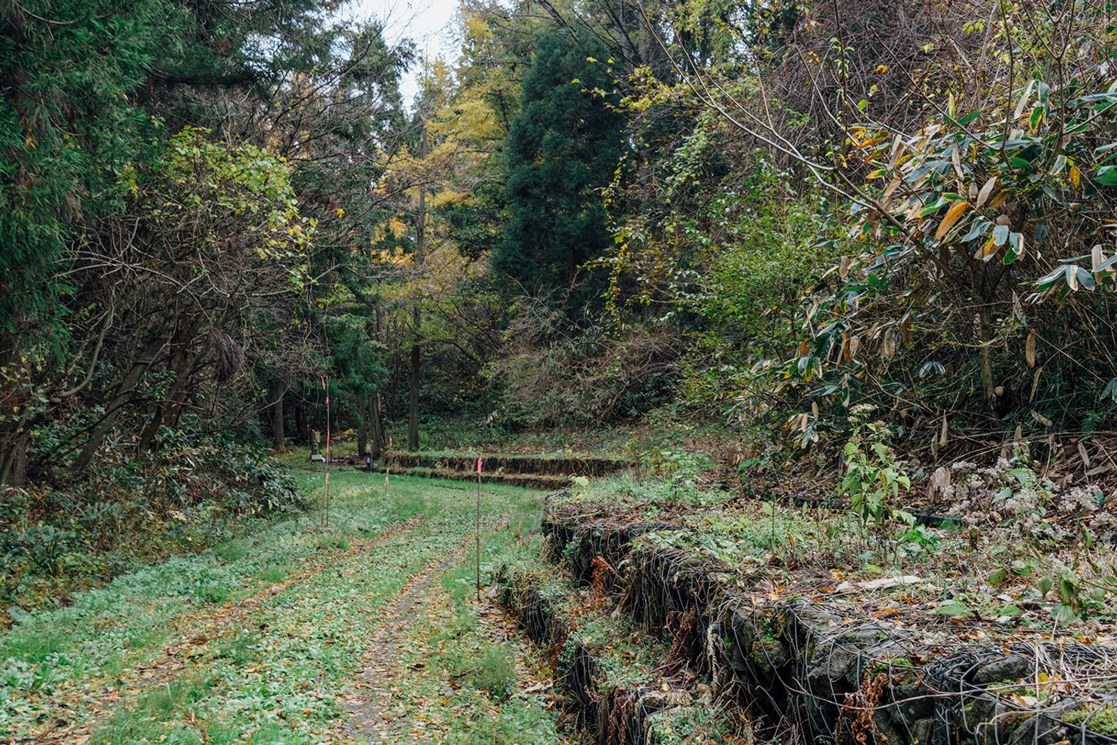 © Maki Hayashida - The backcountry of Noshiro Industrial Waste Treatment Center in Akita, 2020