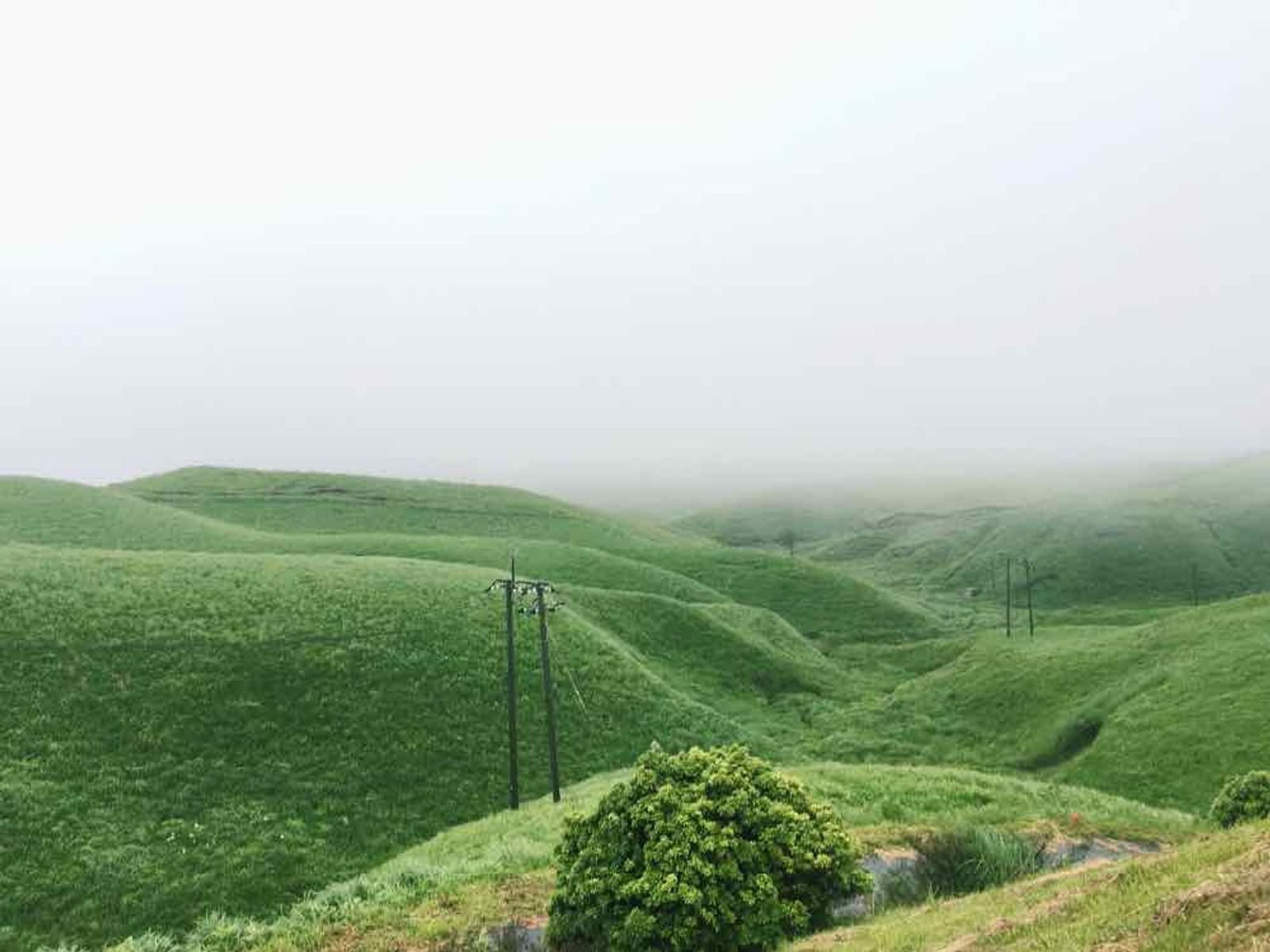 © Maki Hayashida - Aso, Kumamoto, 2016