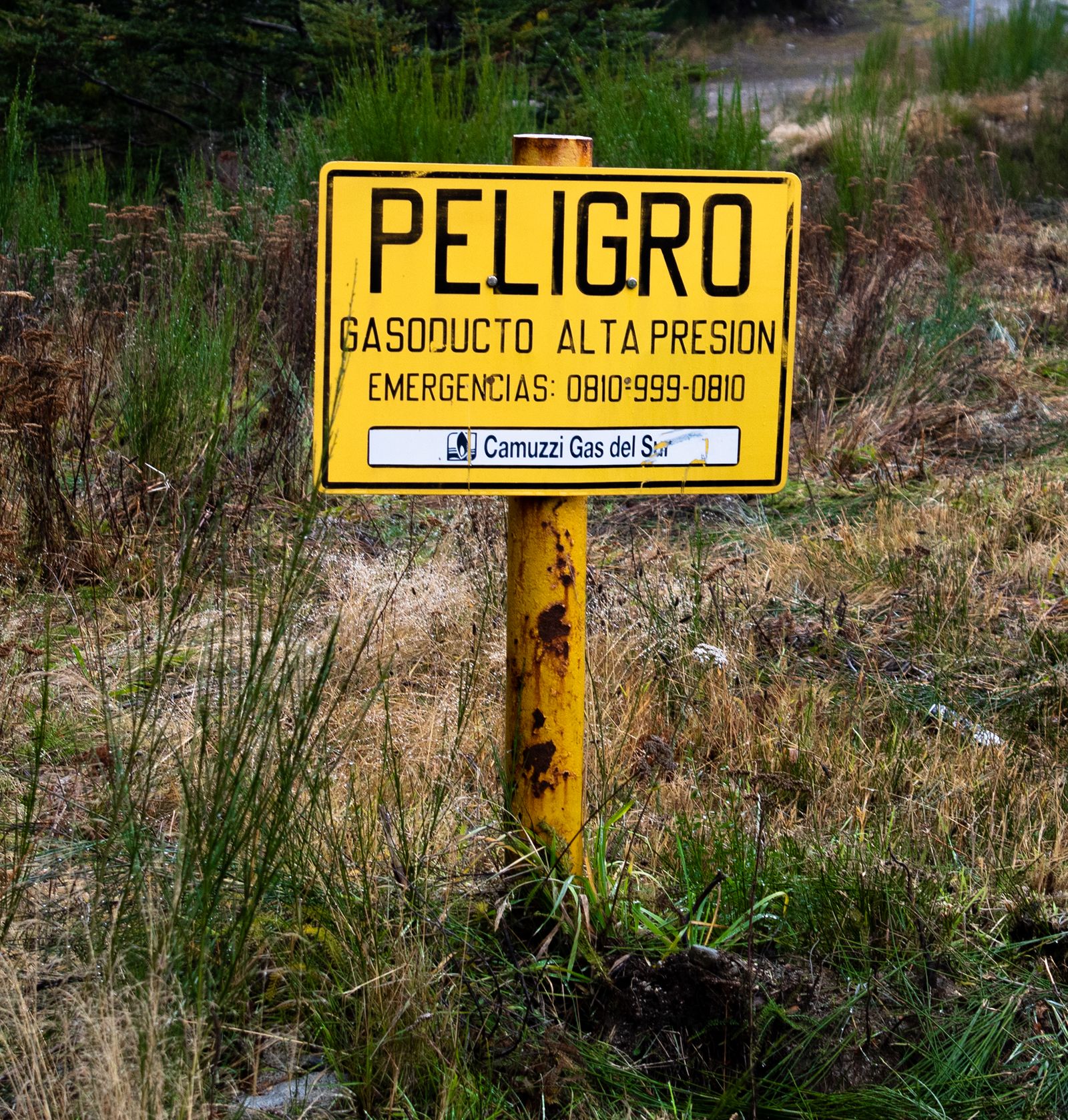 © Ale Conrado Carcasona - Image from the Ruta de los Siete Lagos photography project