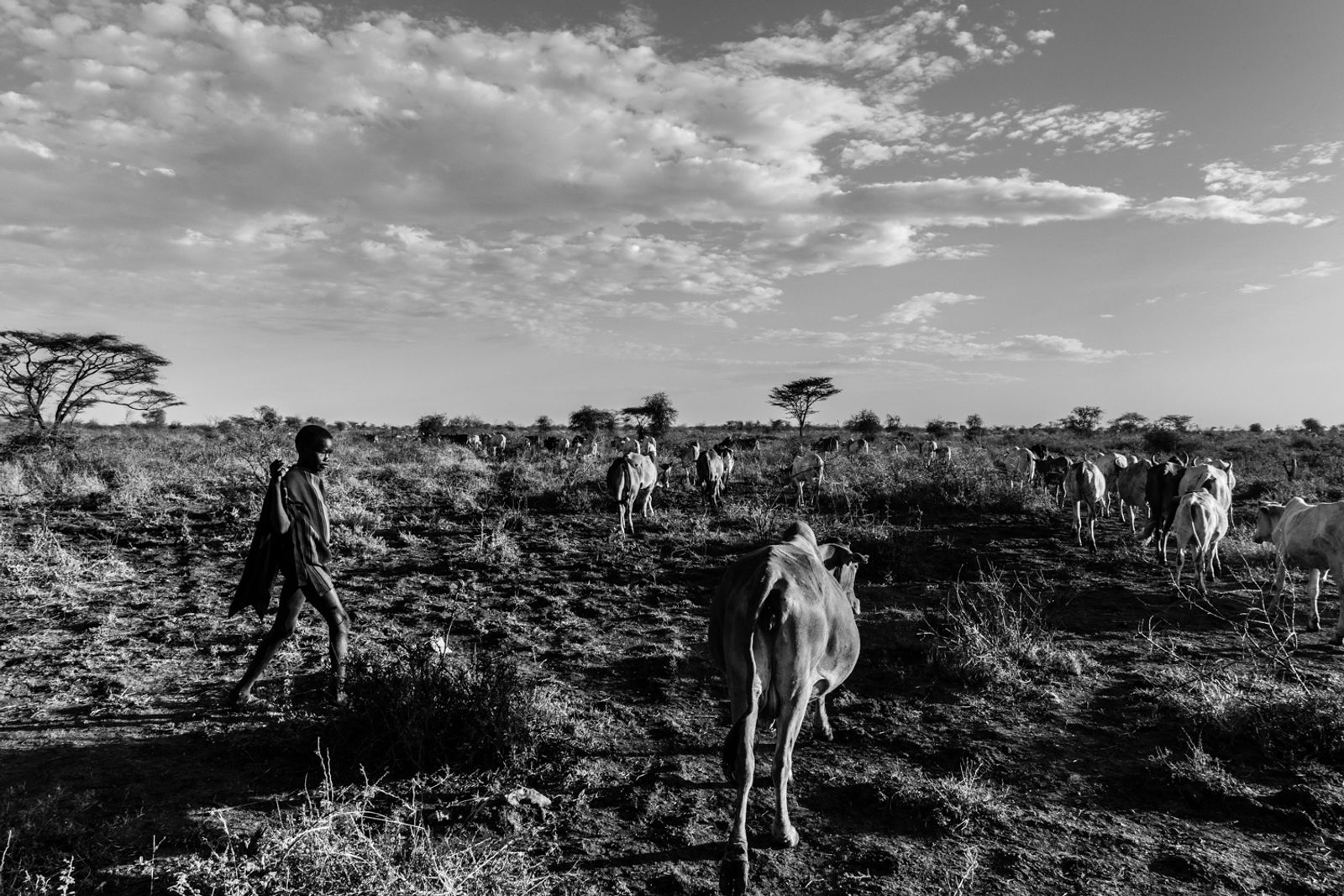 © Kristof Vadino - Image from the Drought photography project