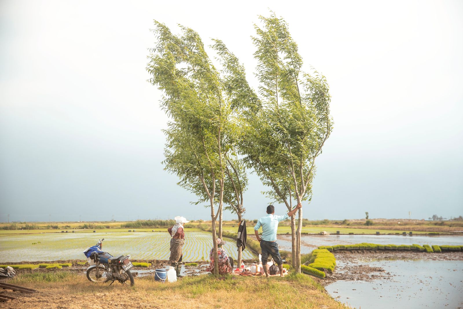 © masoumeh bahrami - Image from the The Tears of Motherland photography project