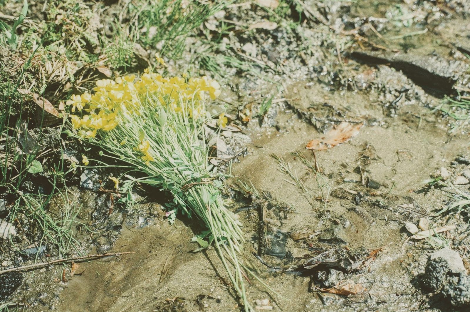 © hiroko murayama - Image from the Me As A Mother and Myself. photography project