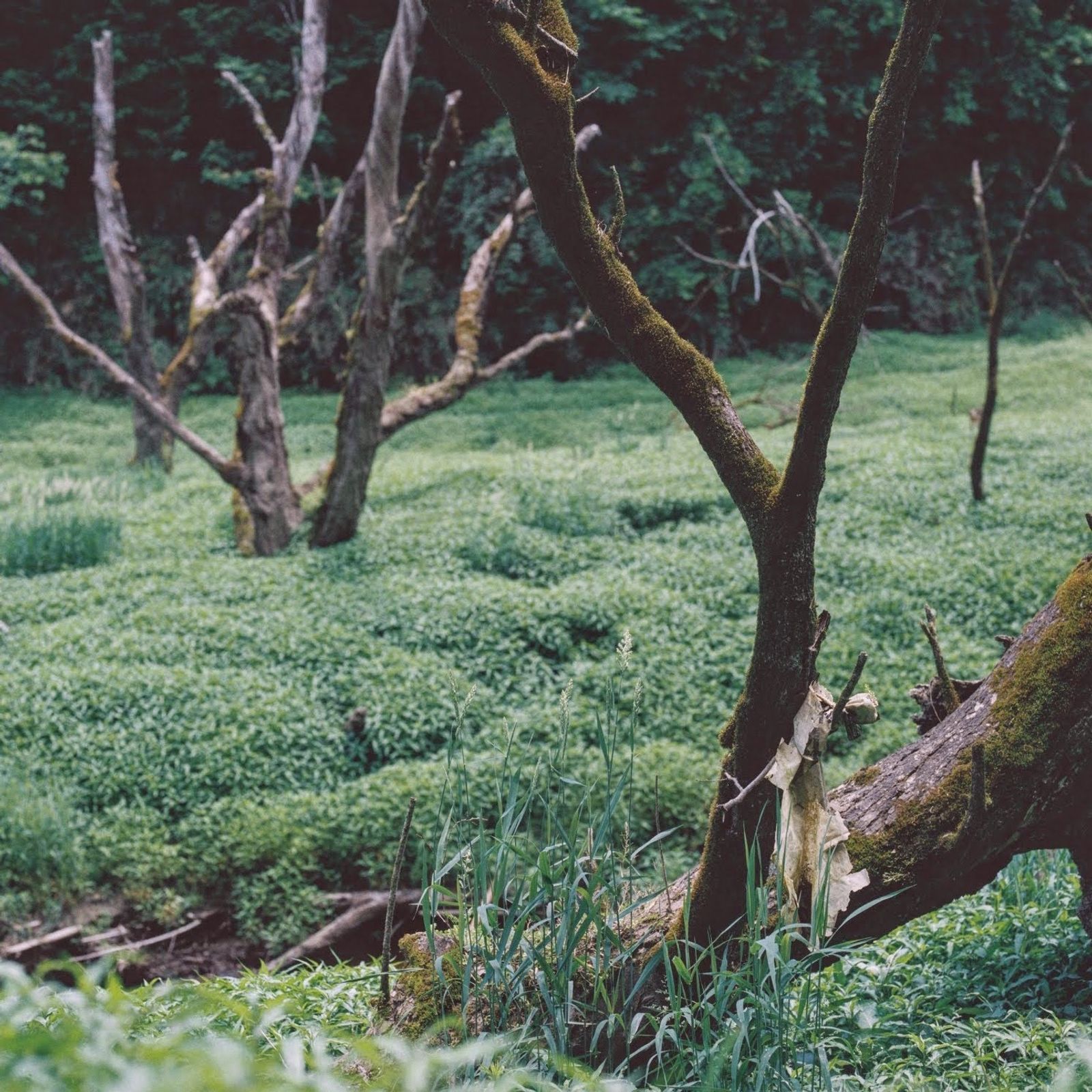 © hiroko murayama - Image from the Me As A Mother and Myself. photography project