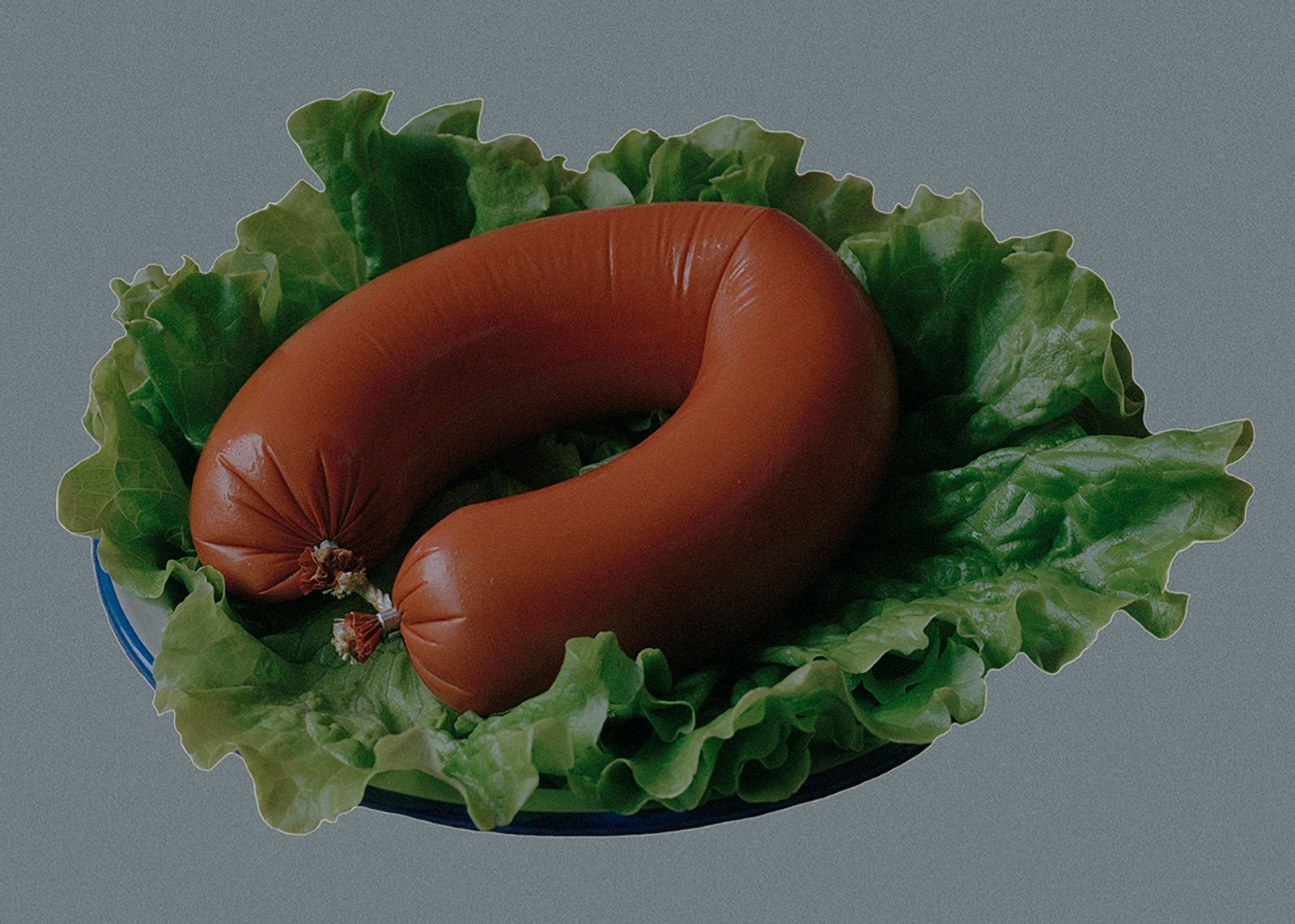 © celeste arnstedt - Fat Index