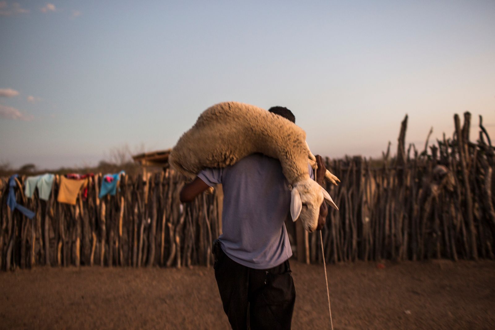 © Lianne Milton - Image from the Hinterland: Stories from the Caatinga photography project
