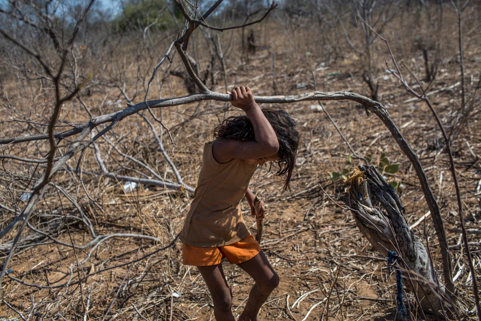© Lianne Milton - Image from the Hinterland: Stories from the Caatinga photography project