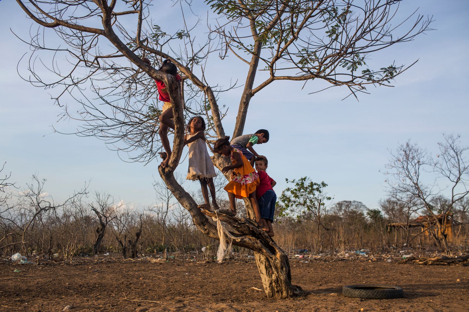 © Lianne Milton - Image from the Hinterland: Stories from the Caatinga photography project