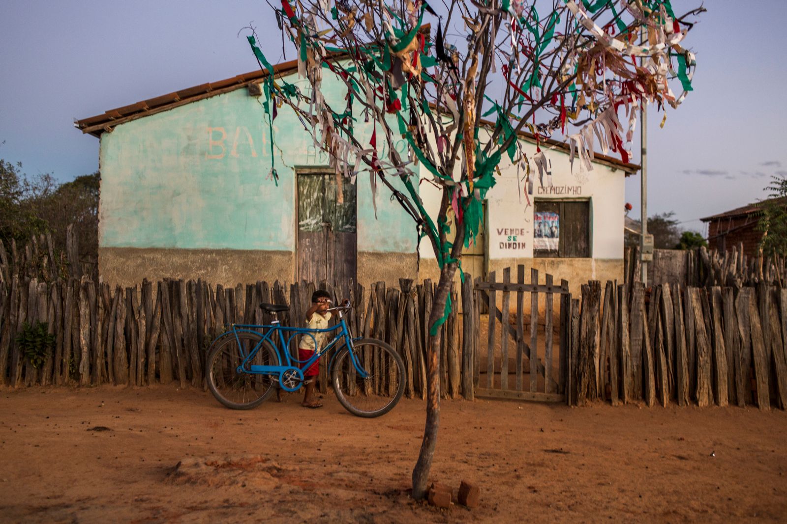 © Lianne Milton - Image from the Hinterland: Stories from the Caatinga photography project