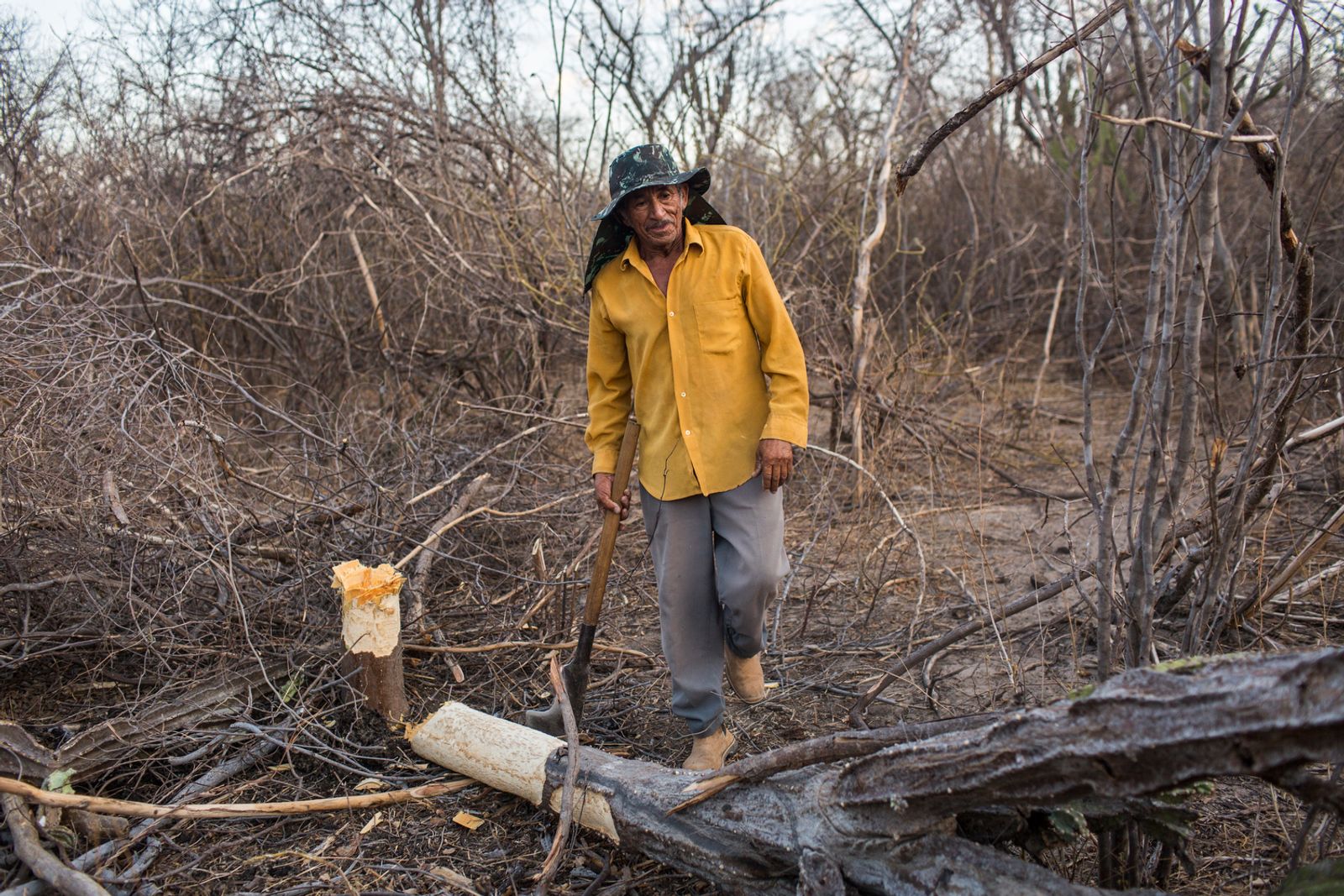 © Lianne Milton - Image from the Hinterland: Stories from the Caatinga photography project