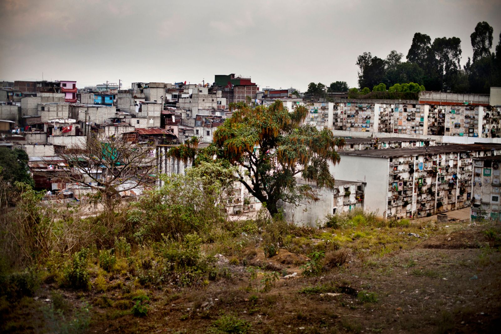 © Lianne Milton - The colony of La Verbena merges with the cemetery, in Zone 7, Guatemala City, on Thursday, April 12, 2012.